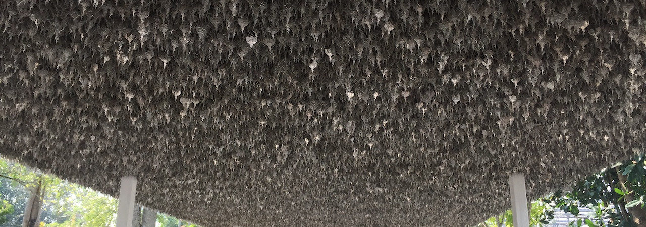 Dolores est molestias laboriosam praesentium aspernatur repellat ut.